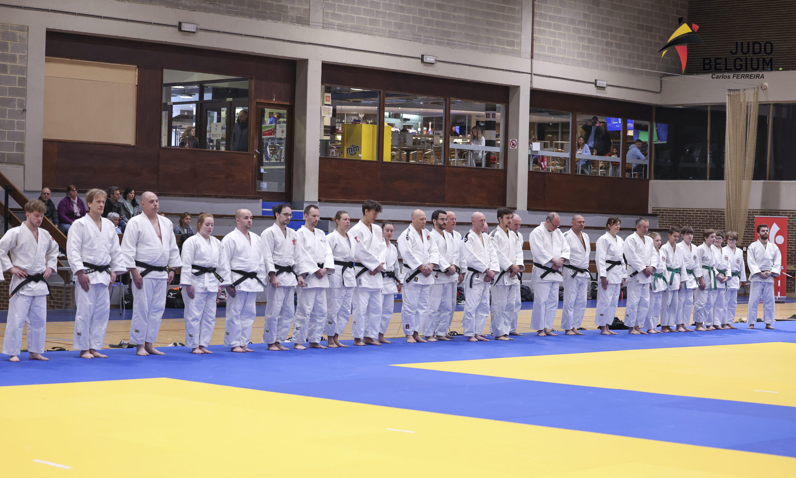Championnats de Belgique : de nouveaux couples à l’assaut du kata