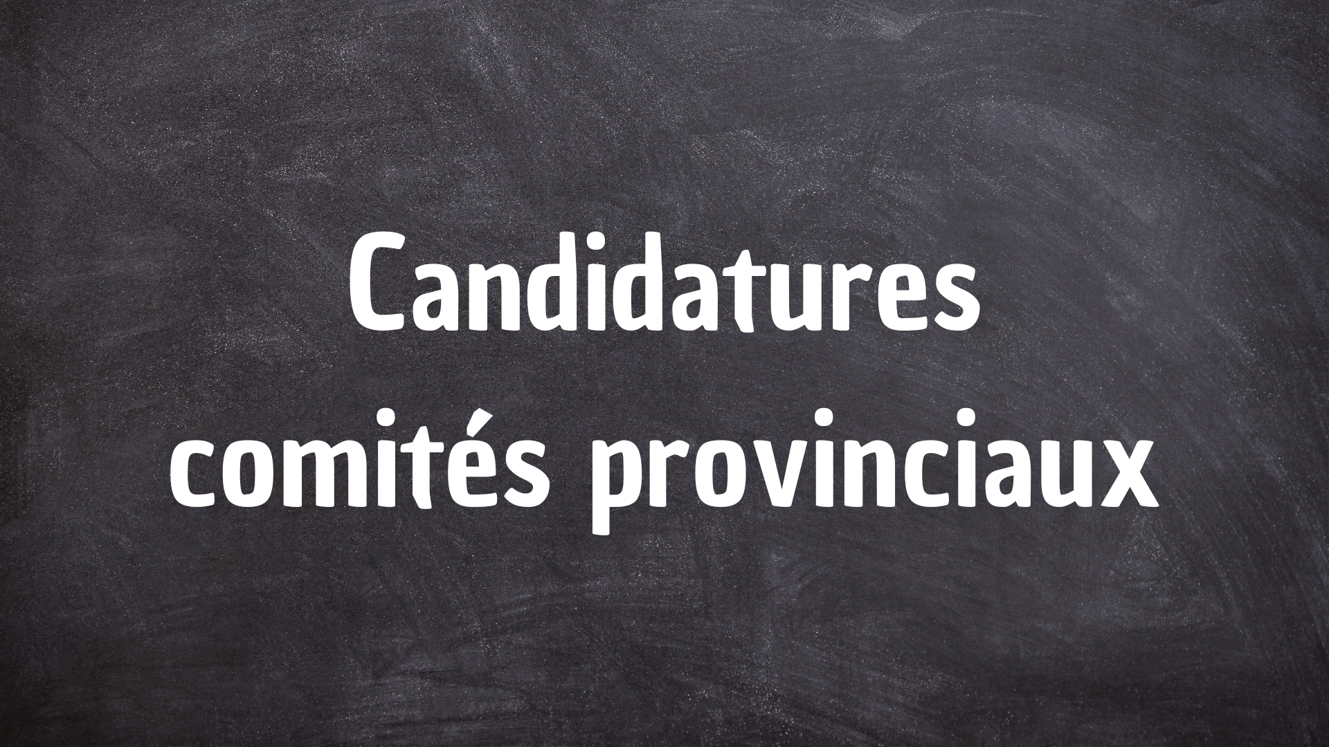 Candidatures comités provinciaux